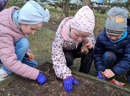 Gr.IV Sadzimy i siejemy