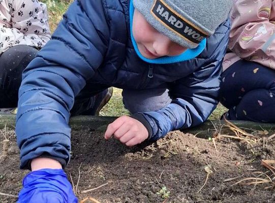 Gr.IV Sadzimy i siejemy