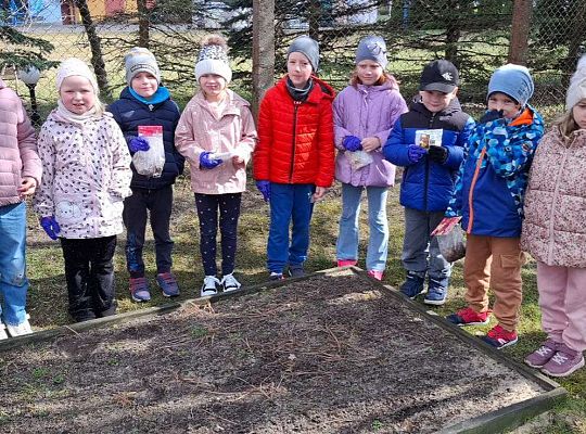 Gr.IV Sadzimy i siejemy