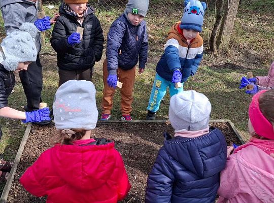 Gr.IV Sadzimy i siejemy