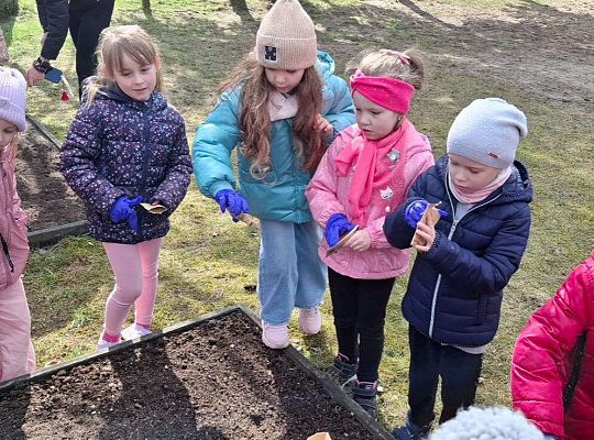 Gr.IV Sadzimy i siejemy