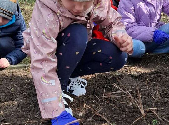 Gr.IV Sadzimy i siejemy