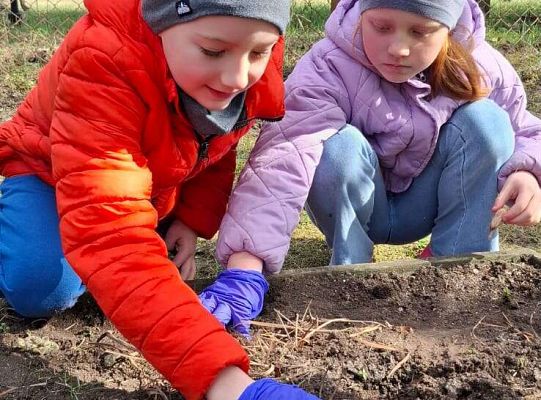 Gr.IV Sadzimy i siejemy