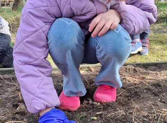 Gr.IV Sadzimy i siejemy