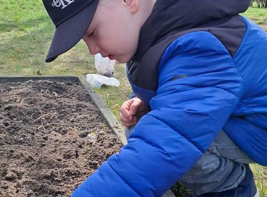 Gr.IV Sadzimy i siejemy