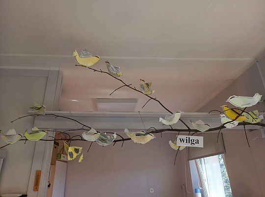 Gr. III Międzynarodowy Dzień Ptaka