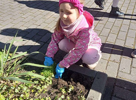 Gr. III Upiększamy nasz ogródek.