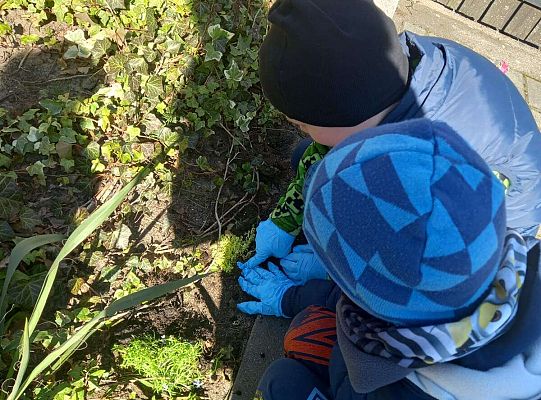 Gr. III Upiększamy nasz ogródek.