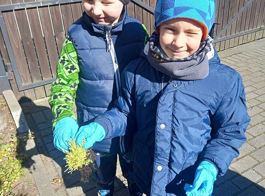 Gr. III Upiększamy nasz ogródek.