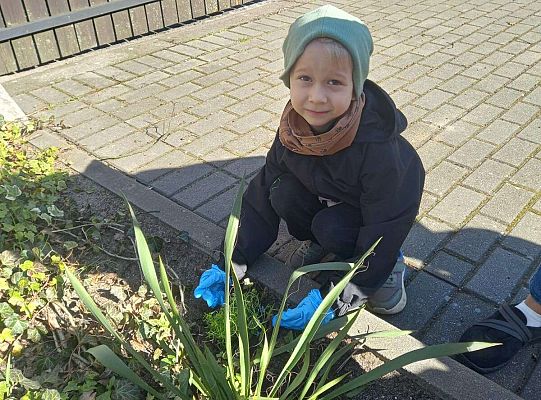 Gr. III Upiększamy nasz ogródek.