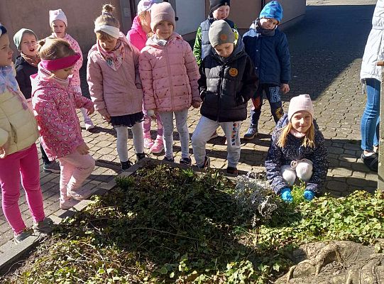 Gr. III Upiększamy nasz ogródek.