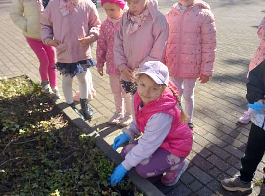 Gr. III Upiększamy nasz ogródek.