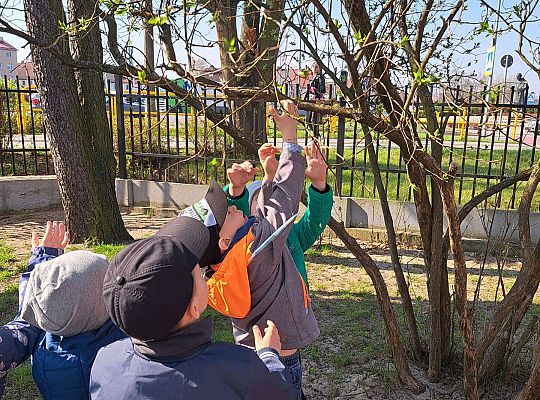 Gr.II Wielkanocne śniadanie oraz szukanie wielkanocnych niespodzianek