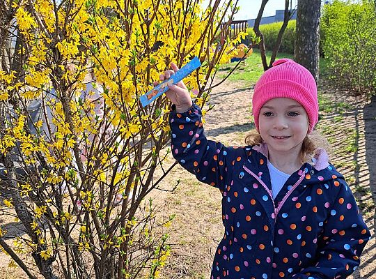 Gr.II Wielkanocne śniadanie oraz szukanie wielkanocnych niespodzianek