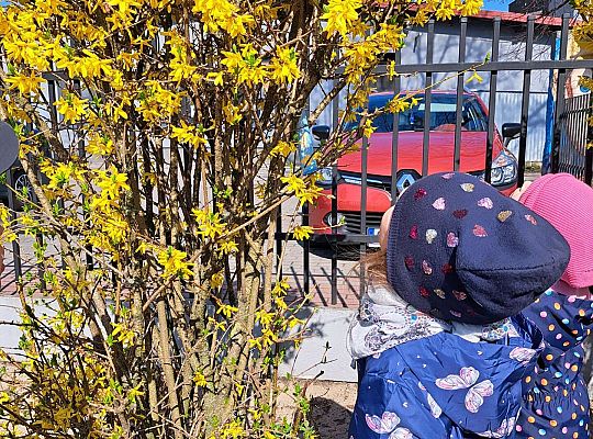 Gr.II Wielkanocne śniadanie oraz szukanie wielkanocnych niespodzianek