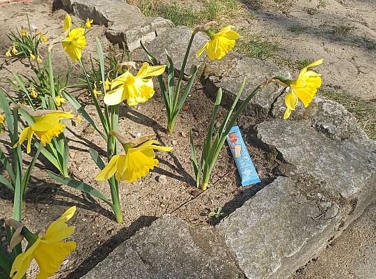 Gr. III Wielkanocne śniadanie oraz szukanie niespodzianek od zająca