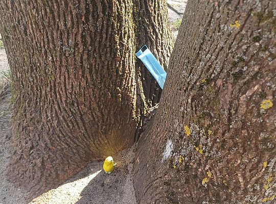 Gr. III Wielkanocne śniadanie oraz szukanie niespodzianek od zająca