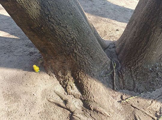 Gr. III Wielkanocne śniadanie oraz szukanie niespodzianek od zająca