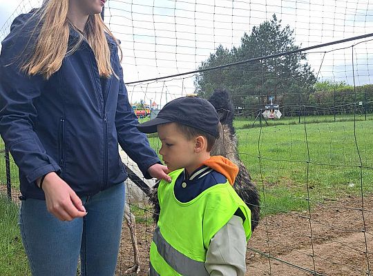 Gr.I I Gr.II Wycieczka do "Strusiej Farmy " w Kniewie