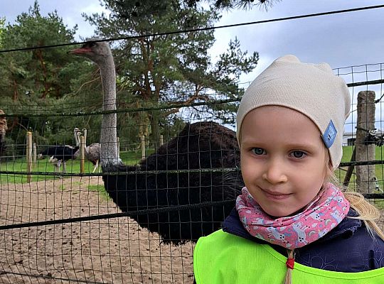 Gr.I I Gr.II Wycieczka do "Strusiej Farmy " w Kniewie