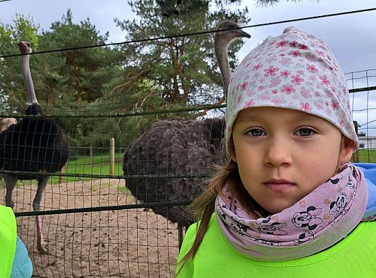 Gr.I I Gr.II Wycieczka do "Strusiej Farmy " w Kniewie