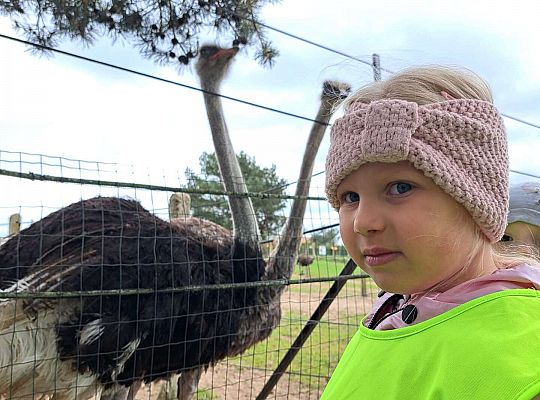 Gr.I I Gr.II Wycieczka do "Strusiej Farmy " w Kniewie