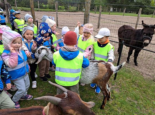 Gr.I I Gr.II Wycieczka do "Strusiej Farmy " w Kniewie