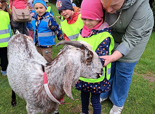 Gr.I I Gr.II Wycieczka do "Strusiej Farmy " w Kniewie