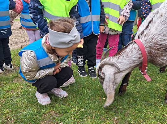 Gr.I I Gr.II Wycieczka do "Strusiej Farmy " w Kniewie