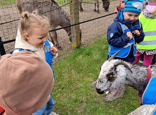 Gr.I I Gr.II Wycieczka do "Strusiej Farmy " w Kniewie