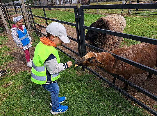 Gr.I I Gr.II Wycieczka do "Strusiej Farmy " w Kniewie