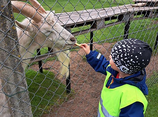 Gr.I I Gr.II Wycieczka do "Strusiej Farmy " w Kniewie