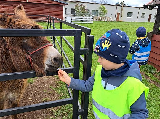 Gr.I I Gr.II Wycieczka do "Strusiej Farmy " w Kniewie