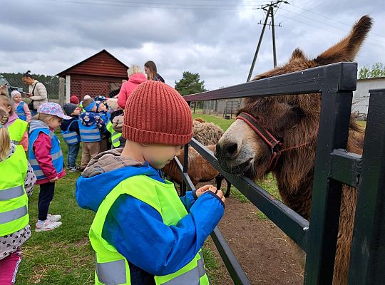 Gr.I I Gr.II Wycieczka do "Strusiej Farmy " w Kniewie