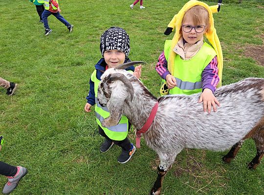 Gr.I I Gr.II Wycieczka do "Strusiej Farmy " w Kniewie