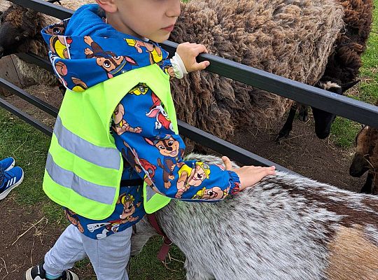 Gr.I I Gr.II Wycieczka do "Strusiej Farmy " w Kniewie