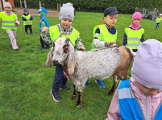 Gr.I I Gr.II Wycieczka do "Strusiej Farmy " w Kniewie