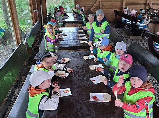 Gr.I I Gr.II Wycieczka do "Strusiej Farmy " w Kniewie