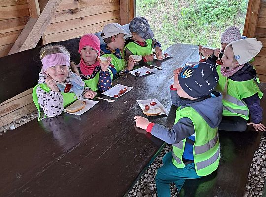 Gr.I I Gr.II Wycieczka do "Strusiej Farmy " w Kniewie