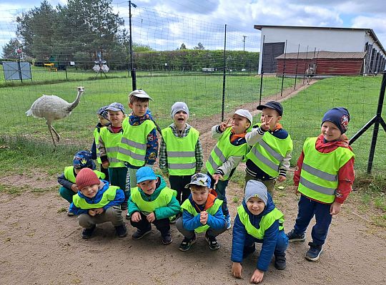 Gr.I I Gr.II Wycieczka do "Strusiej Farmy " w Kniewie