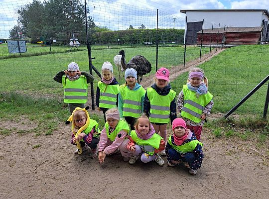 Gr.I I Gr.II Wycieczka do "Strusiej Farmy " w Kniewie