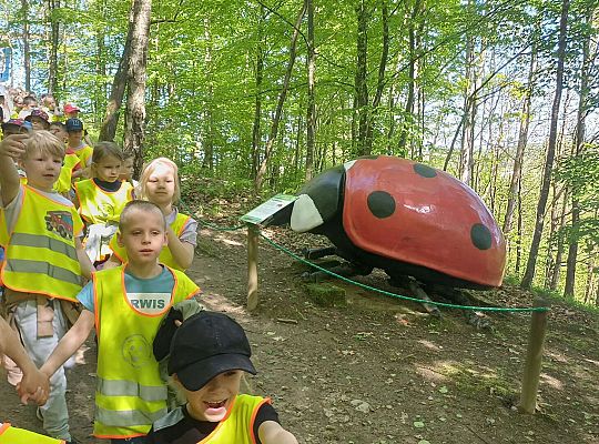 Gr. IV Wycieczka do Stryszej Budy