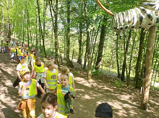 Gr. IV Wycieczka do Stryszej Budy