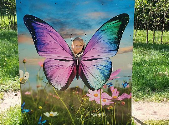 Gr. IV Wycieczka do Stryszej Budy