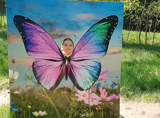 Gr. IV Wycieczka do Stryszej Budy