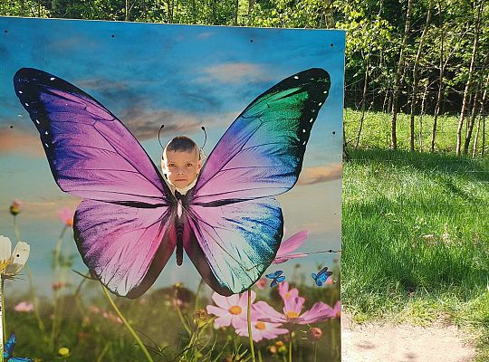 Gr. IV Wycieczka do Stryszej Budy