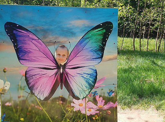 Gr. IV Wycieczka do Stryszej Budy