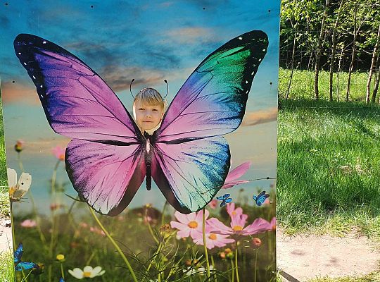 Gr. IV Wycieczka do Stryszej Budy