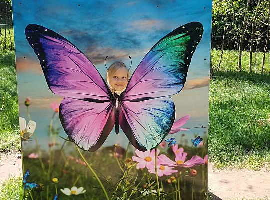 Gr. IV Wycieczka do Stryszej Budy