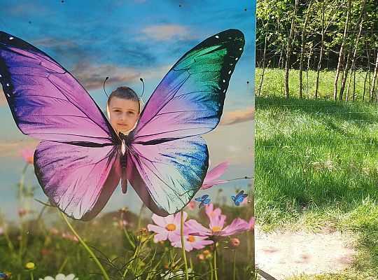 Gr. IV Wycieczka do Stryszej Budy